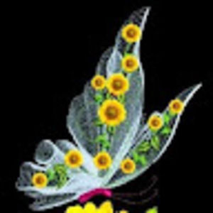 Meet your Posher, Loretta